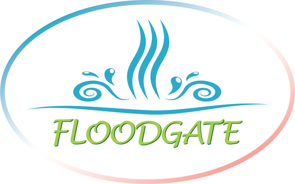Floodgate Coaching, Counselling and Consulting