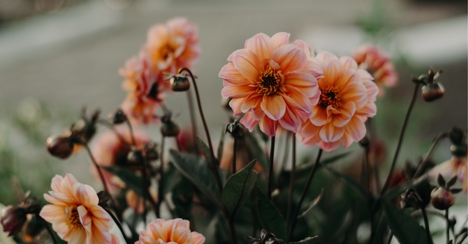 Building Blocks of a Meaning Filled Life